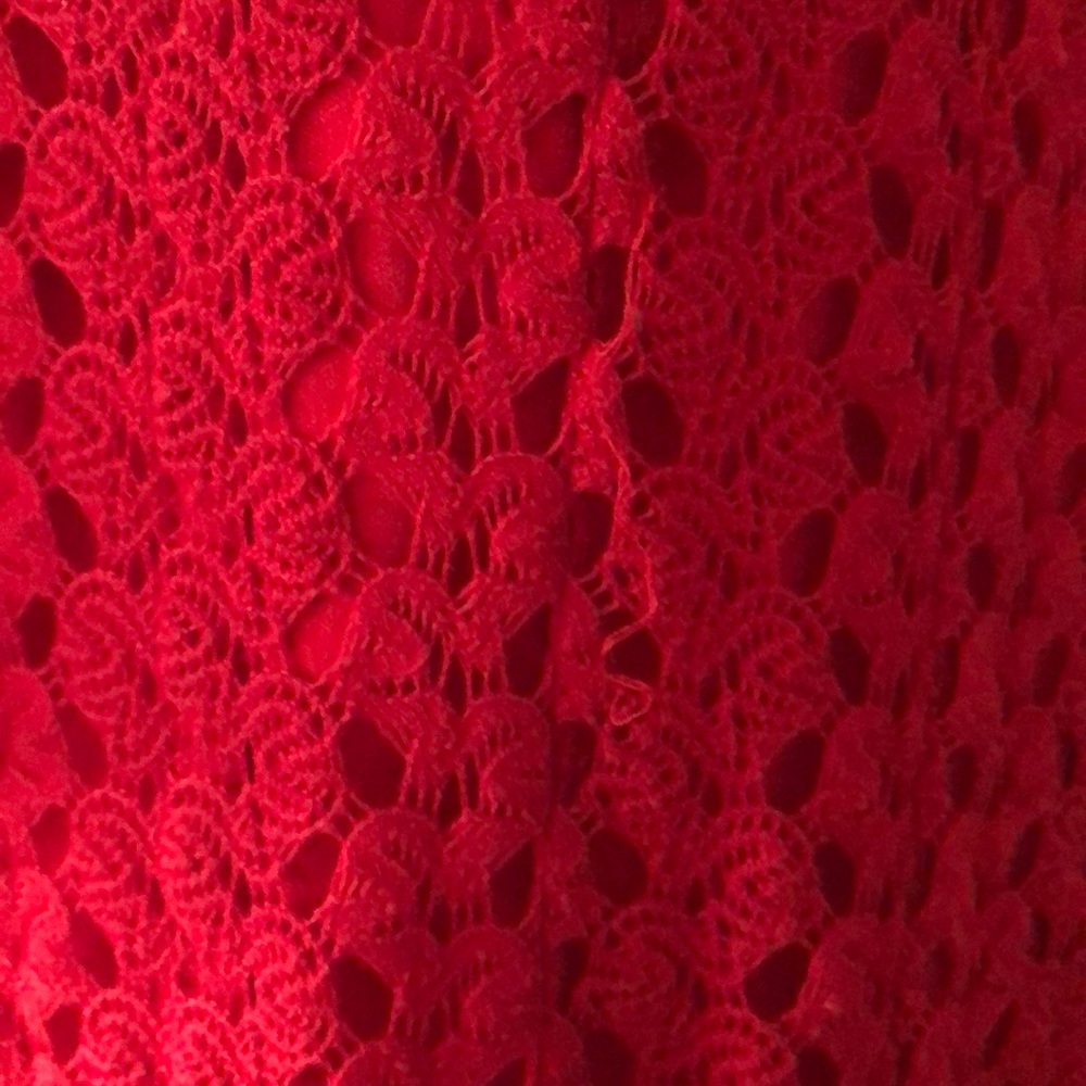 Brand is Rabbit, Rabbit, Rabbit . It’s dark red . - Picture 5 of 5